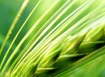 gallery_20141205_1400118815 gallery_20141205_1400118815